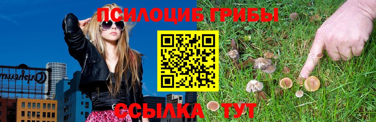 Галлюциногенные грибы Cubensis Кировск